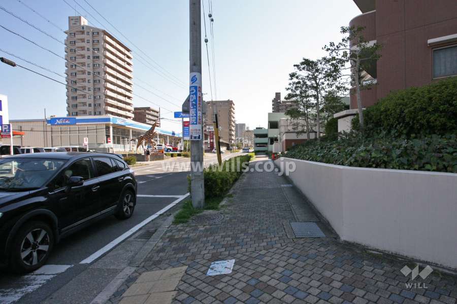 敷地北側の前面道路(西側から)
