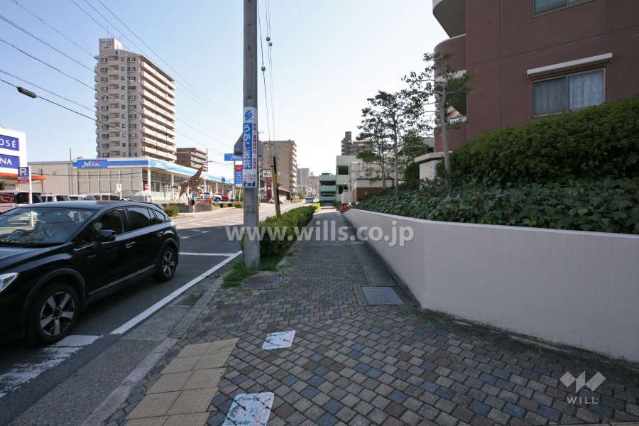 敷地北側の前面道路(西側から)