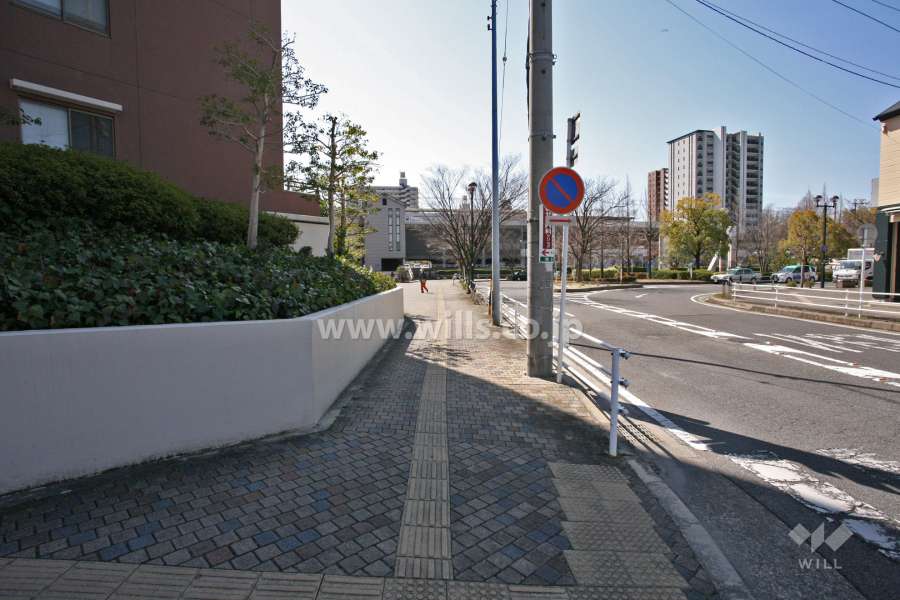 敷地西側の前面道路(北側から)
