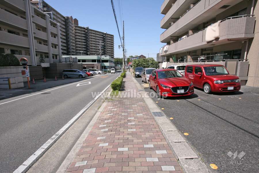 敷地南側の前面道路