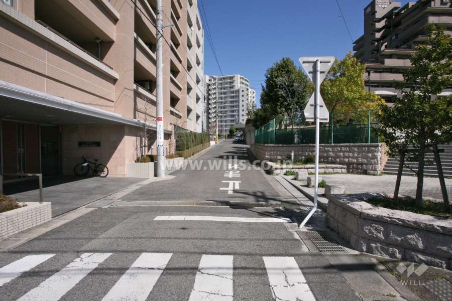 敷地南側の前面道路(西側から)