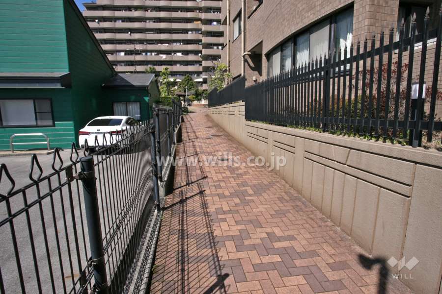 敷地南側の通路