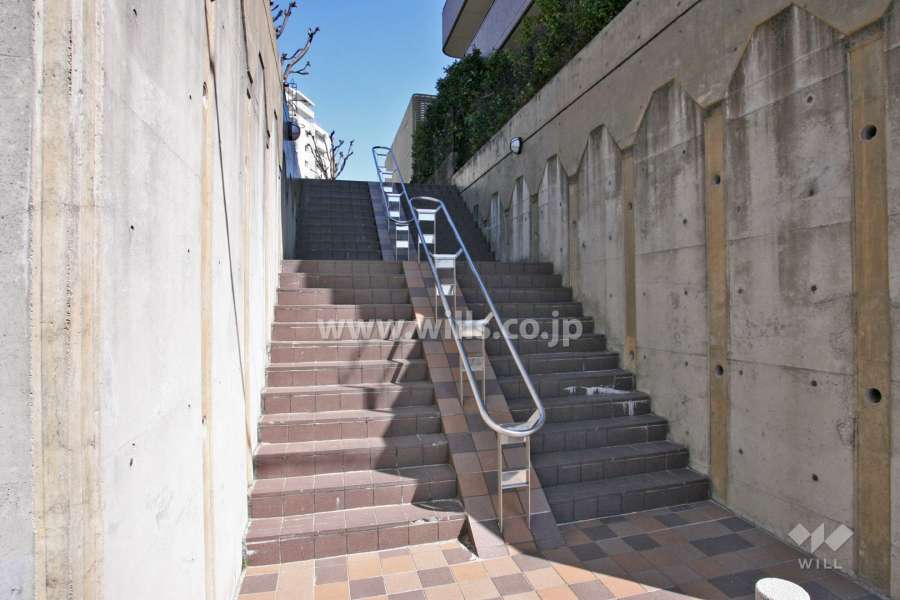敷地西側の階段