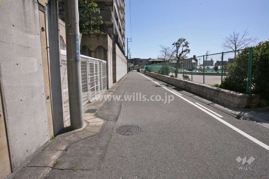 敷地西側の前面道路(北側から)