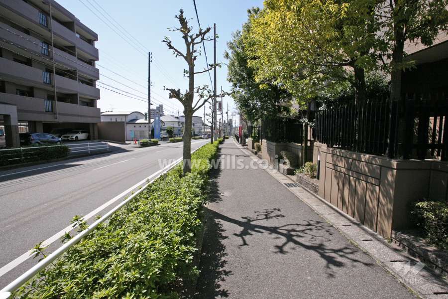 敷地南側の前面道路
