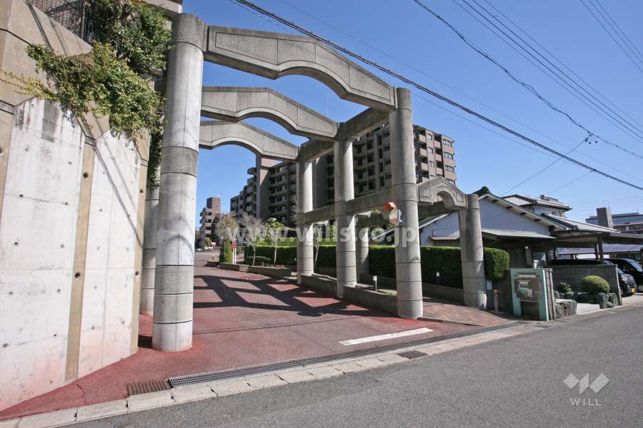 敷地出入り口