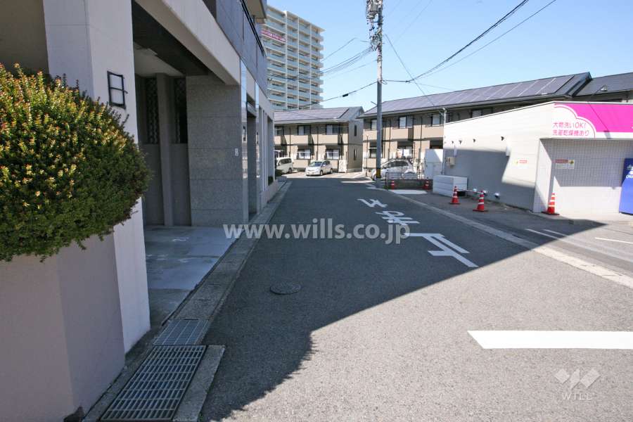 敷地東側の前面道路（南側から）