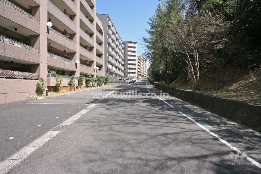 敷地南側の前面道路