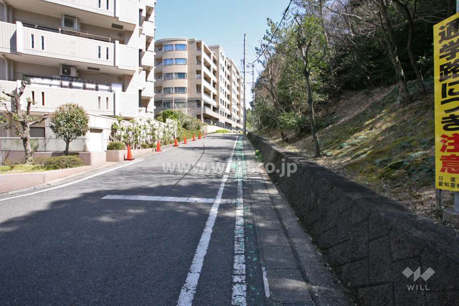 敷地南側の前面道路(西側から)