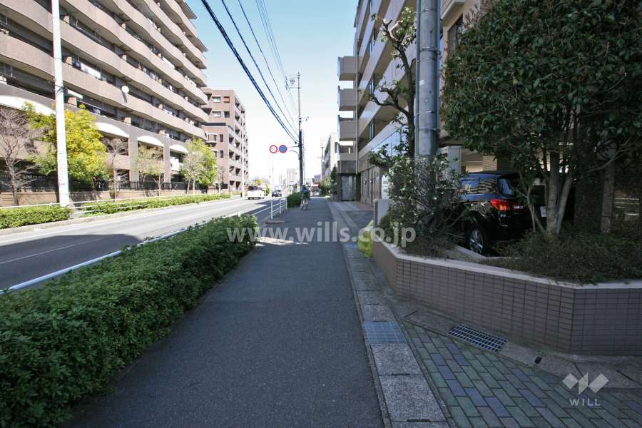 敷地北側の前面道路(西側から)
