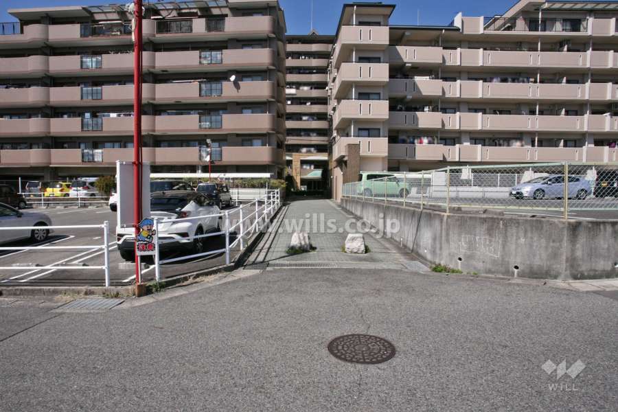 敷地西側の前面道路(南側から)