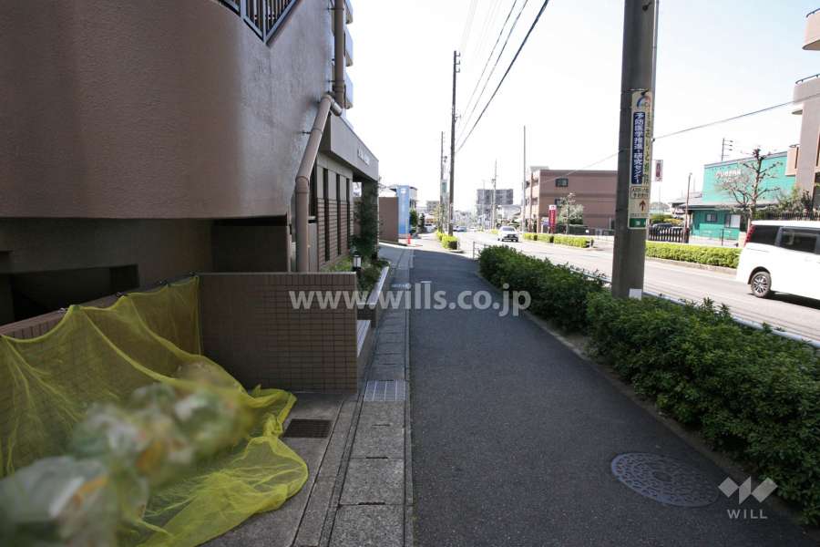敷地北側の前面道路（東側から）