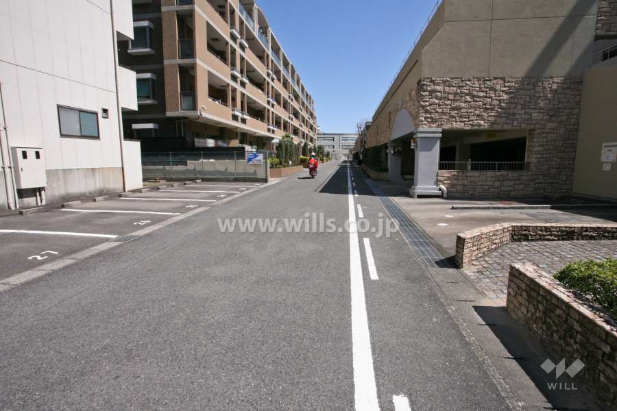 敷地南側の前面道路(西側から)