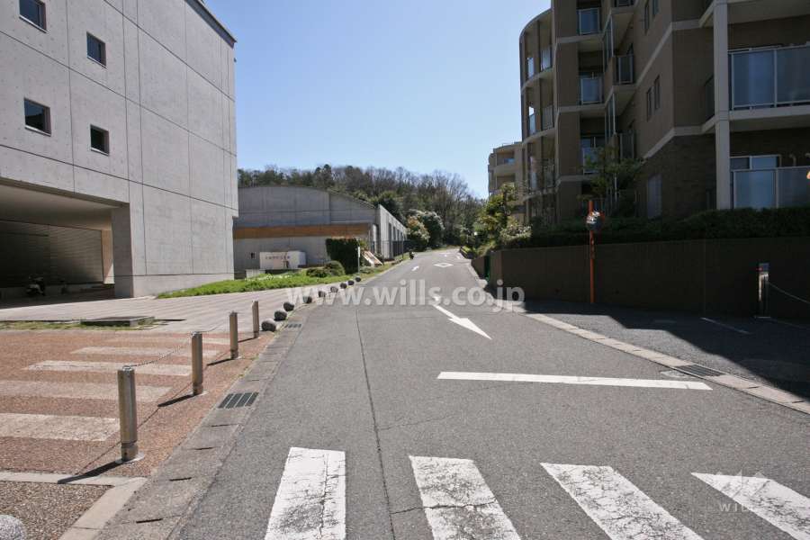 敷地東側の前面道路(北側から)