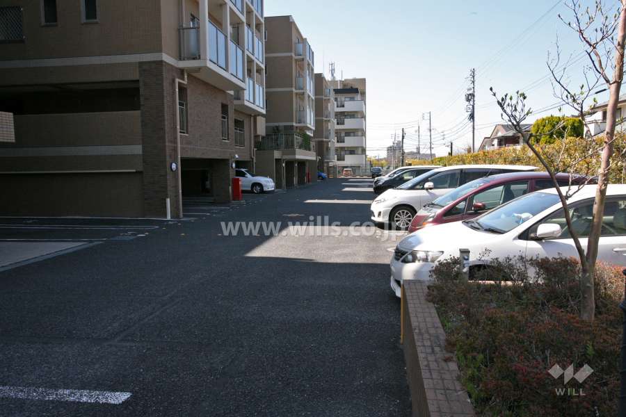 敷地内駐車場(屋外平面式)