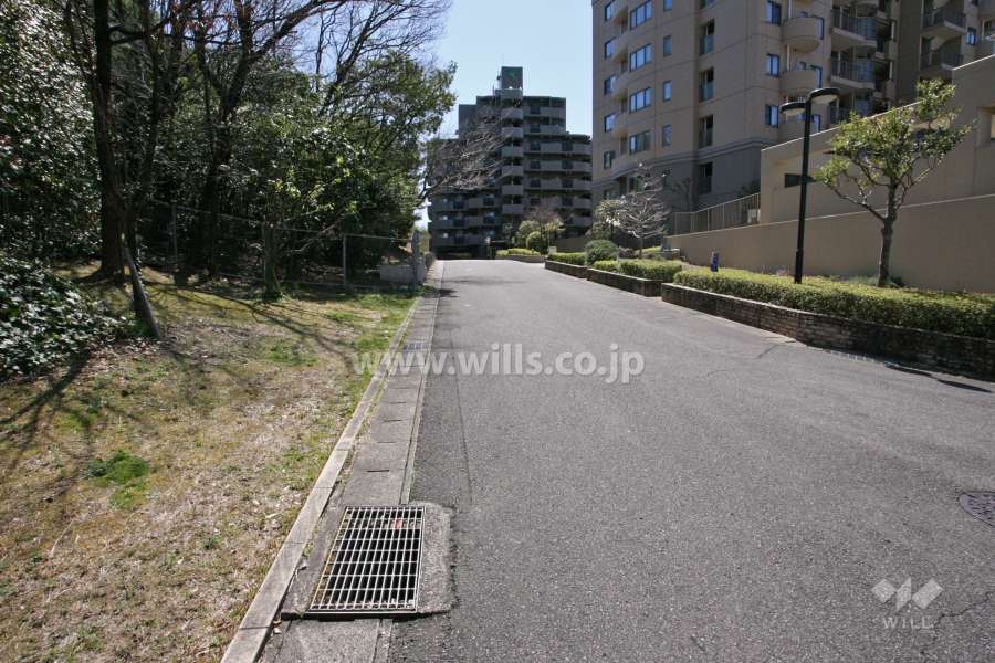 敷地東側の前面道路(北側から)