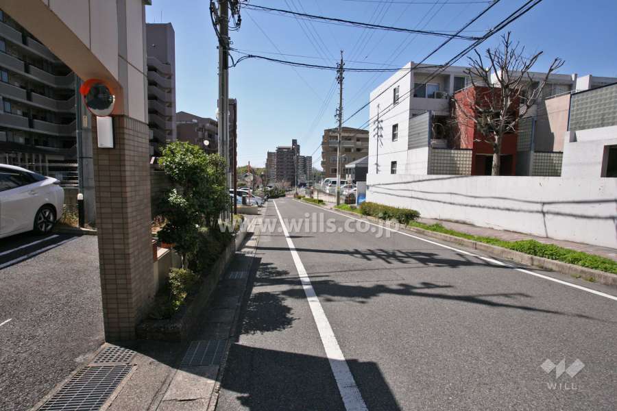 敷地南側の前面道路(東側から)