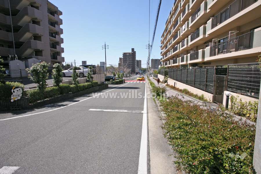 敷地北側の前面道路