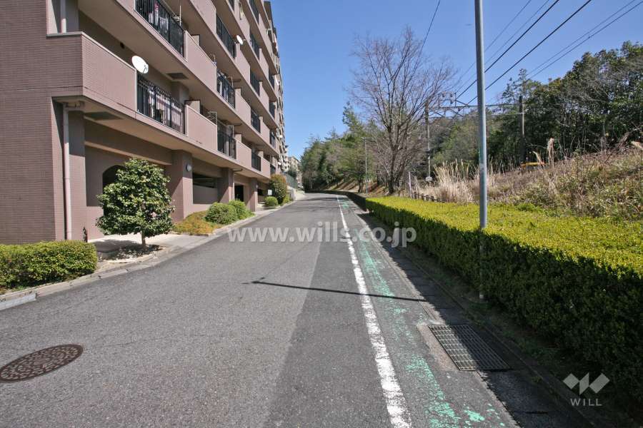 敷地南側の前面道路