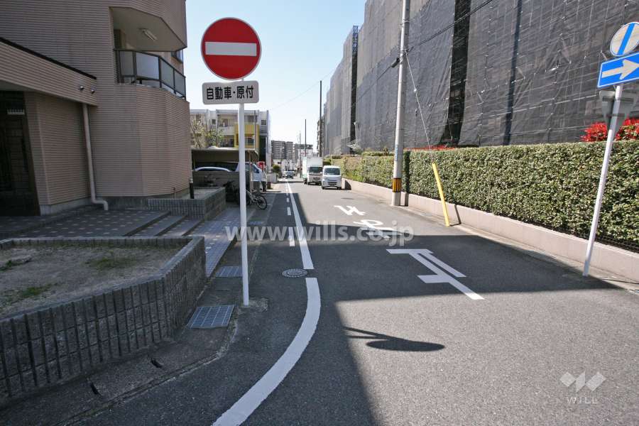 敷地南側の前面道路