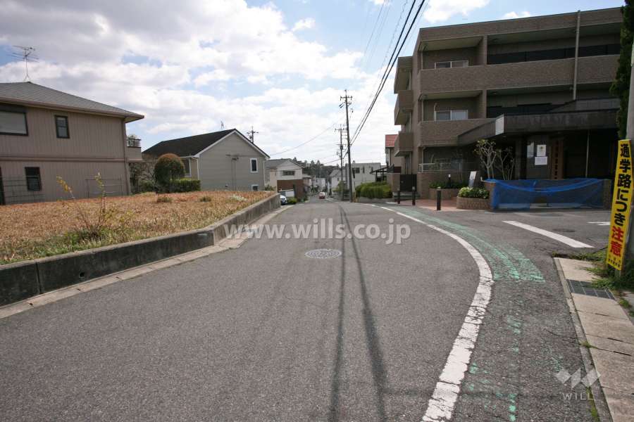 敷地東側の前面道路（北側から）
