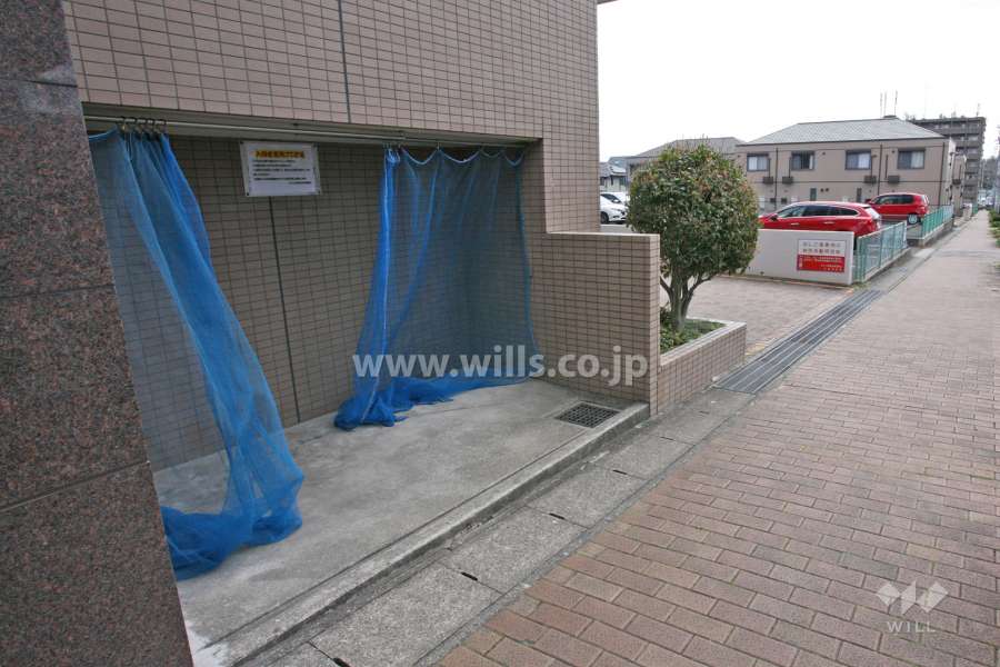 ゴミ置き場