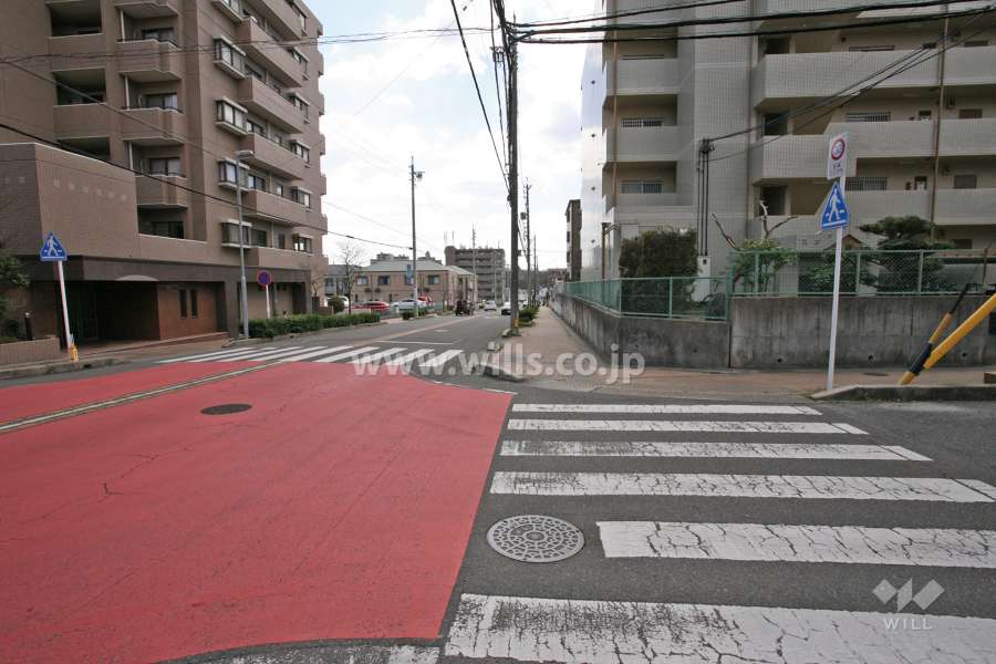 敷地西側の前面道路