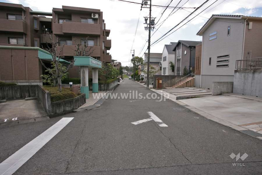 敷地西側の前面道路(北側から)