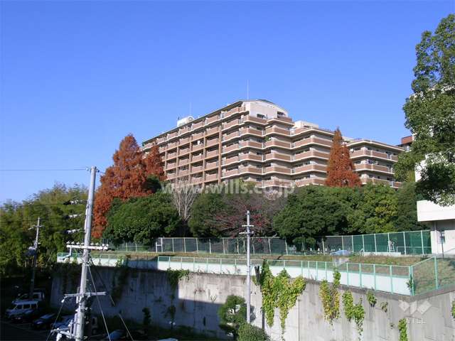 外観（南東側から）