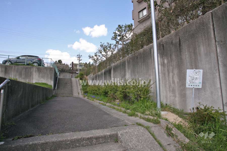 敷地西側の通路