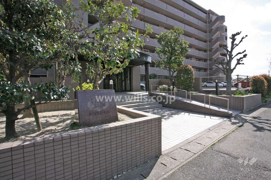 エントランスアプローチ