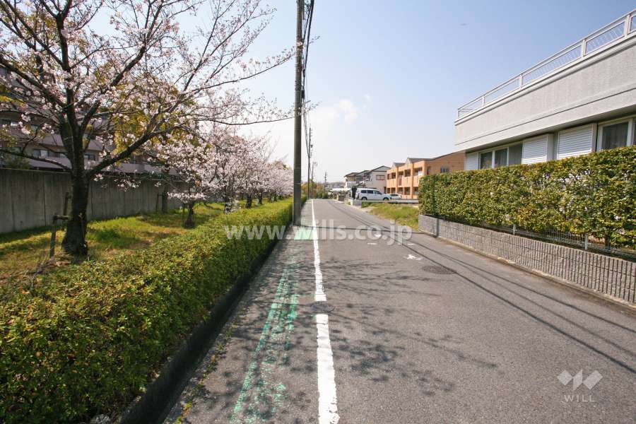敷地北側の前面道路