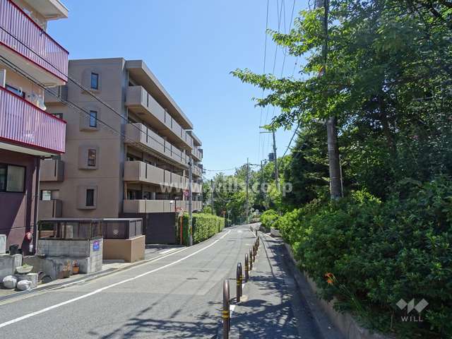 敷地南西側の前面道路（北西側から）