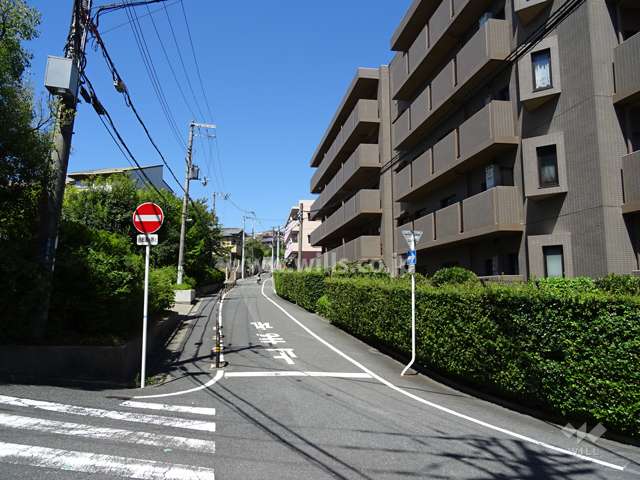 敷地南西側の前面道路（南東側から）