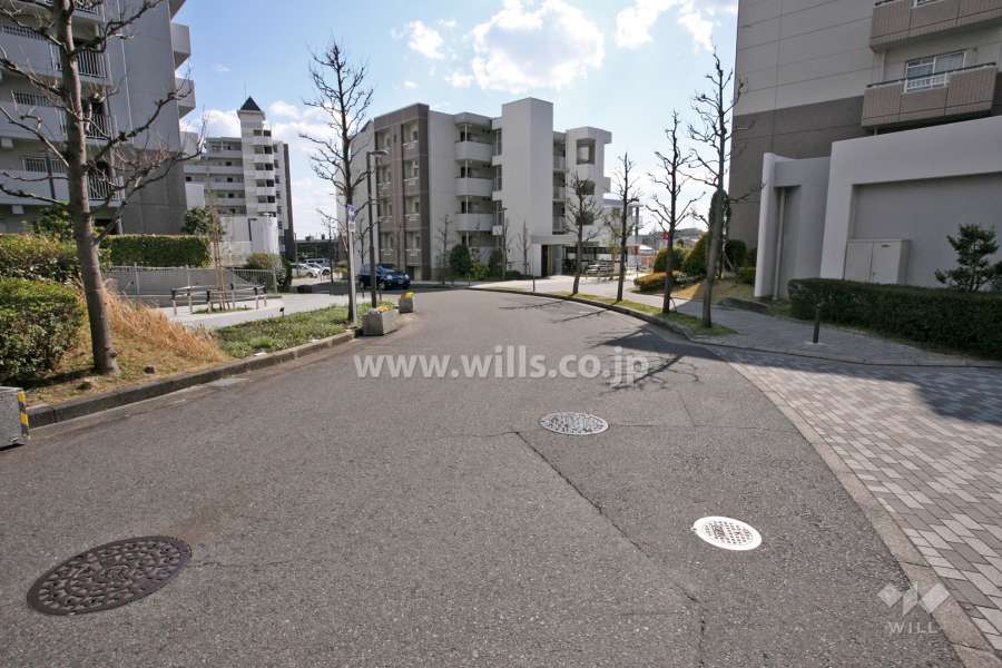 南側の前面道路