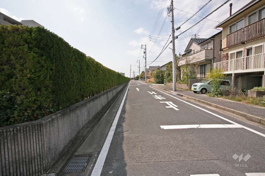 敷地北側の前面道路（東側から）