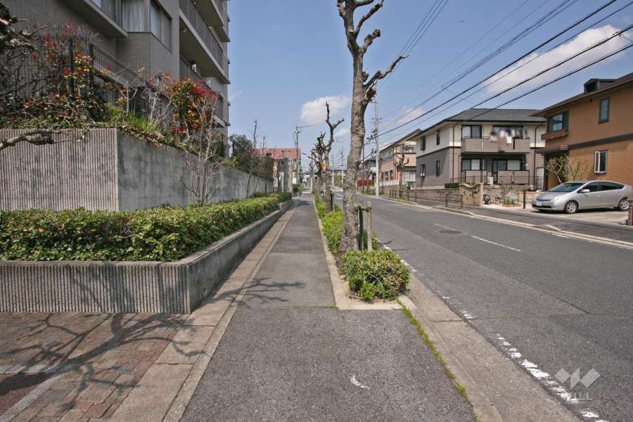 敷地東側の前面道路（南側から）