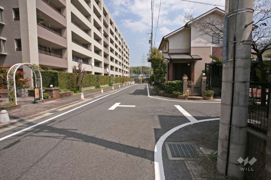 敷地南側の前面道路（西側から）
