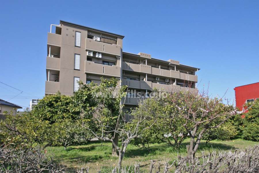 グローリアス赤池中島公園の外観(南側から)