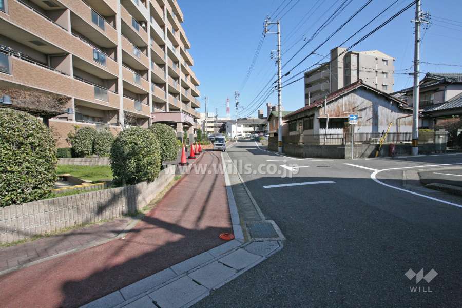 敷地前面道路