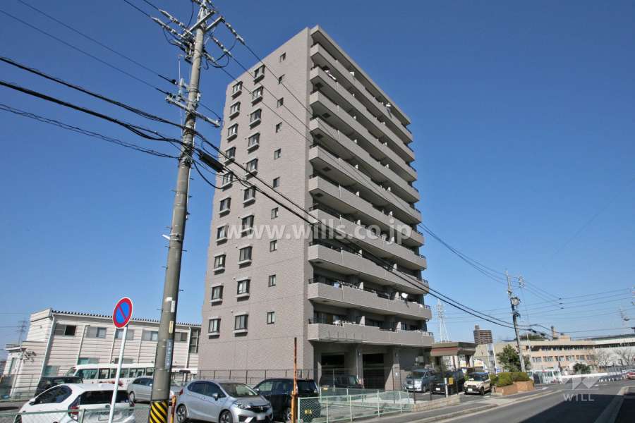 ダイアパレス赤池駅前の外観(南西側から)