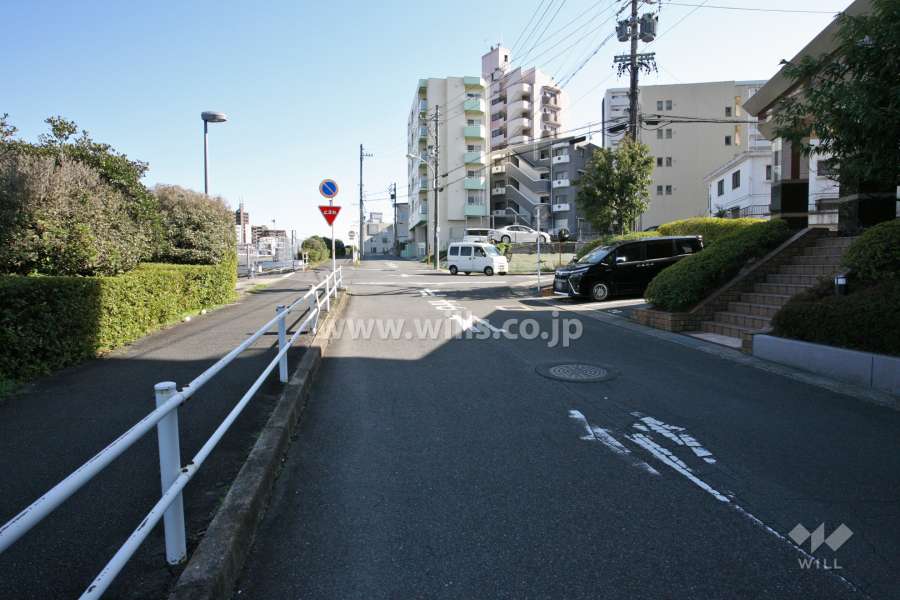 敷地東側の前面道路(北側から)