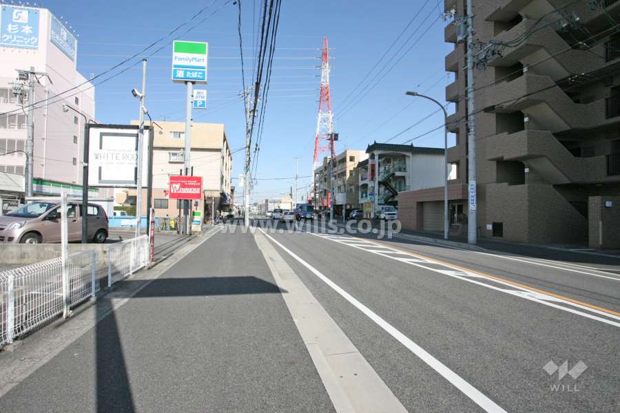 敷地北側の前面道路（西側から）