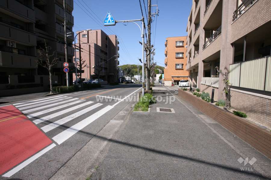 敷地北側の前面道路