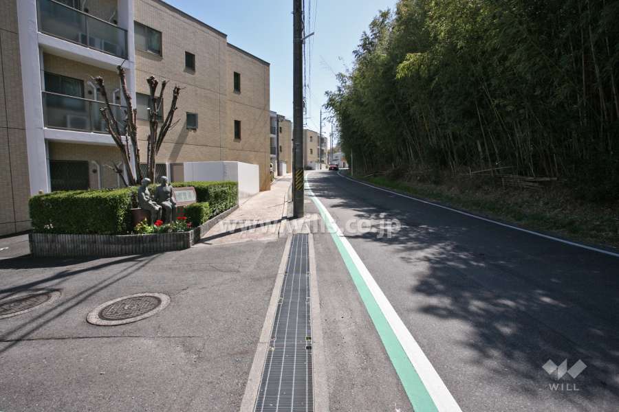 敷地南西側の前面道路(北西側から)