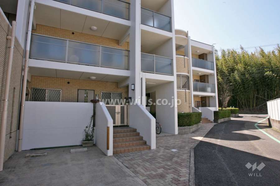 敷地北西側の前面道路(北側から)