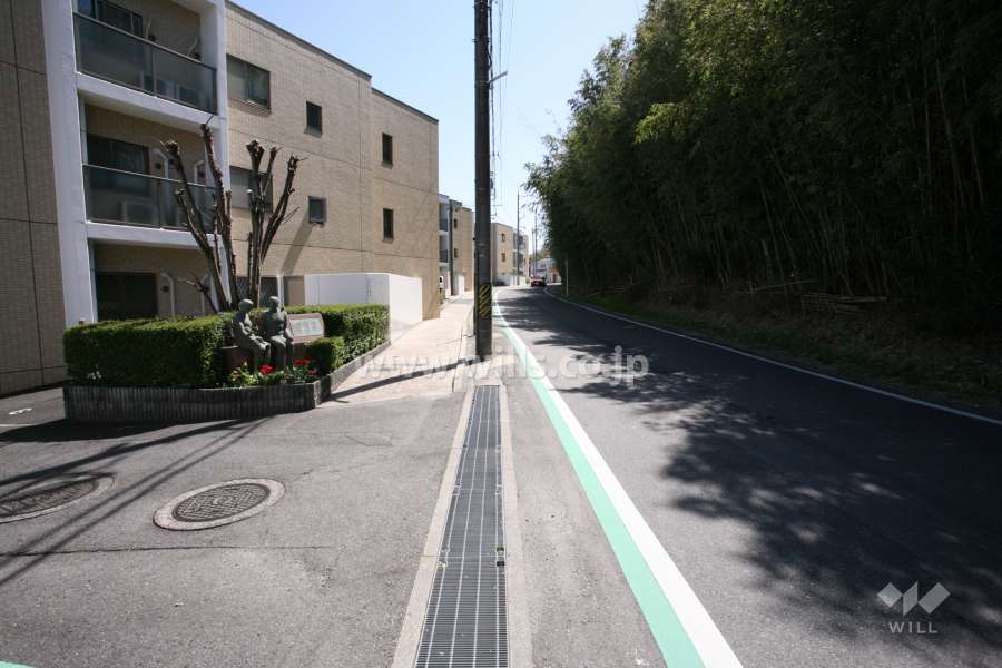 敷地南西側の前面道路(北西側から)