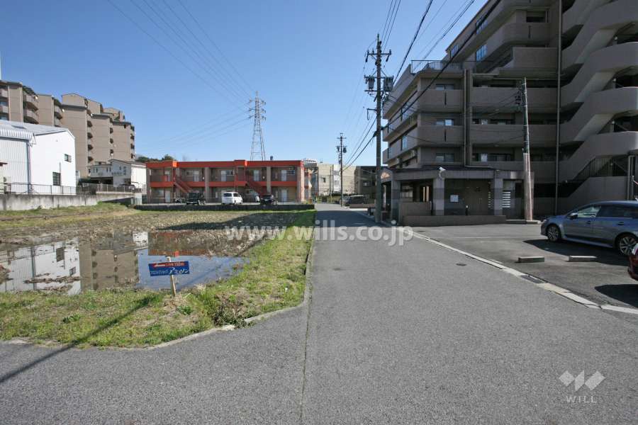 敷地東側の前面道路（北側から）