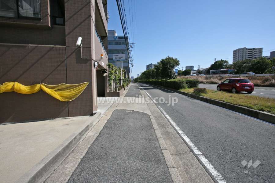 敷地南西側の前面道路(北西側から)