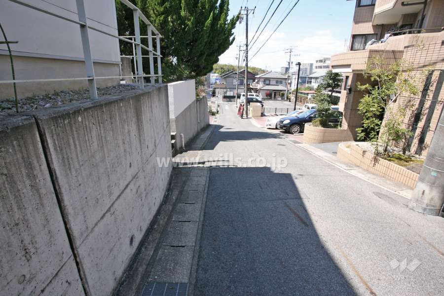 敷地前面道路